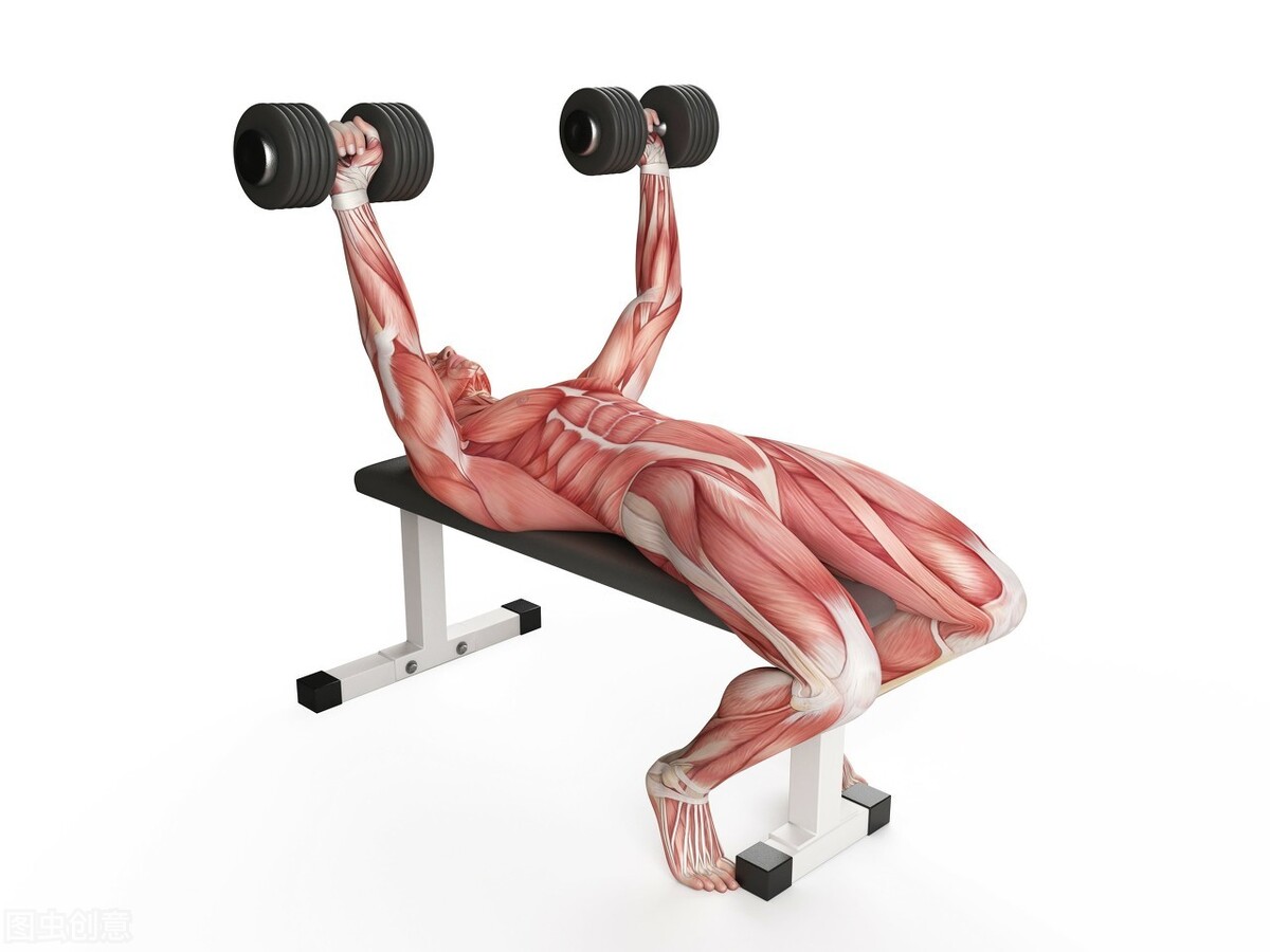 一对哑铃练全身5kg,一对哑铃练全身手臂二头三头小臂