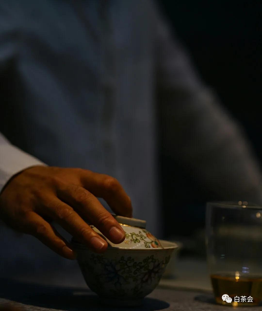 春节在家闷泡老白茶,夏天喝白茶的十大好处