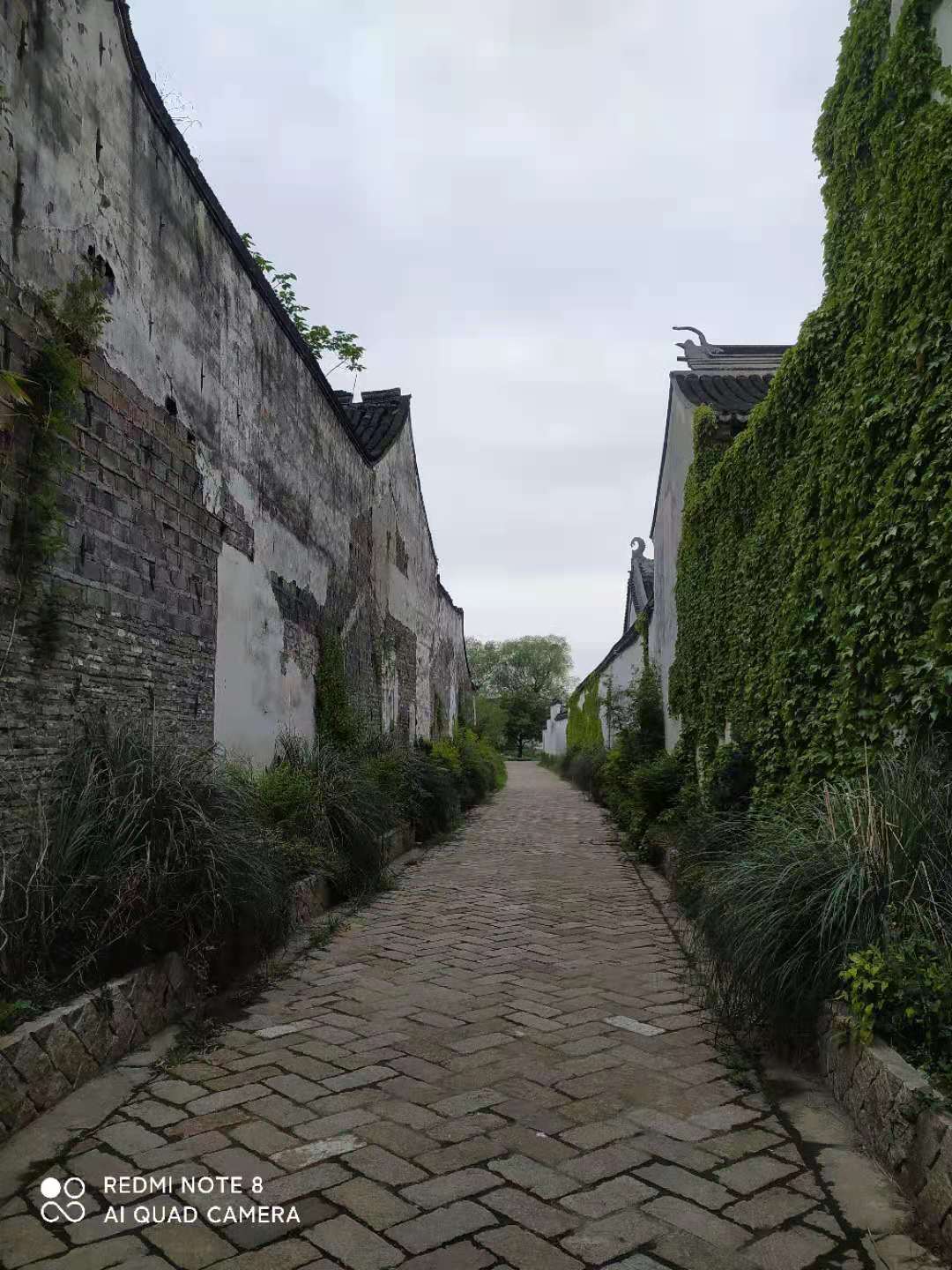 江南黎里古镇照片,寻找最美江南之黎里古镇