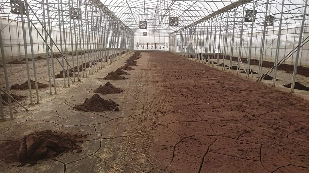 夏秋茬蔬菜栽培，底肥该不该施？如何选择适合茬口的肥料？