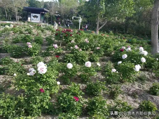 乌鲁木齐人民怎么过的“五一”？时间表来了，他们每天是这样过！