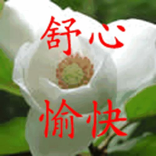 老同学春天暖心祝福语早上好图片,春天早上好中老年朋友问候短句