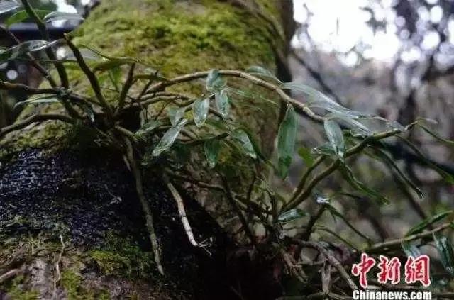 五一旅行的避坑攻略,出游避坑指南谨防旅游陷阱