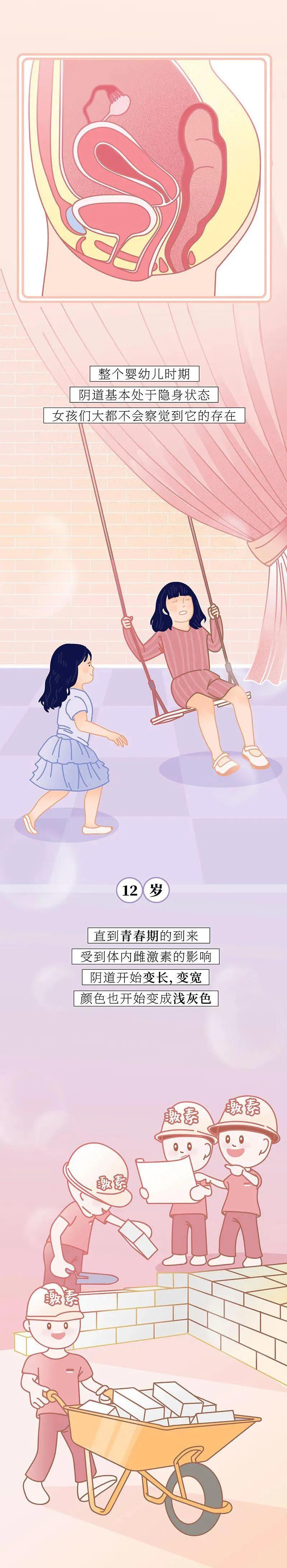 关于“阴道”，女人知道多少？（漫画）
