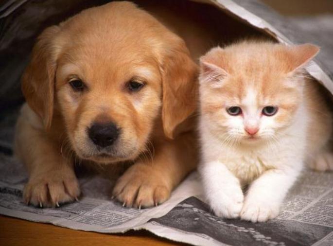 网红搓背神器测评,实测网红神器效果真的有那么好吗