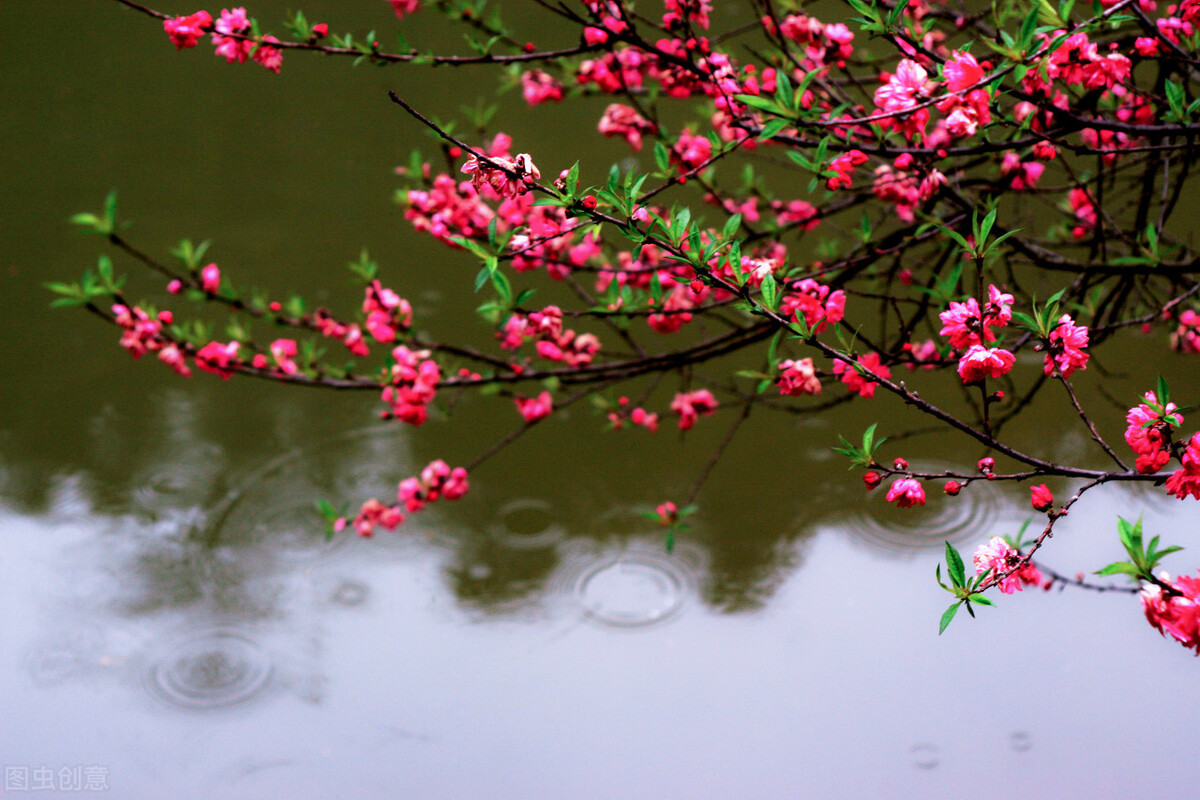 述职报告,转正述职报告