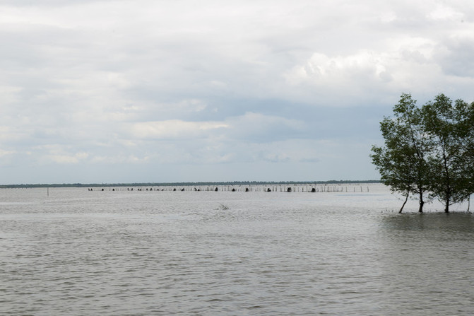 在这个阳光明媚的春季,在这个阳光灿烂的日子里