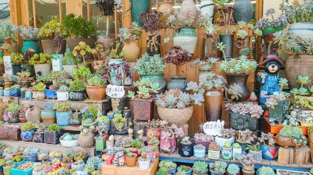 深圳主题公园推荐,深圳爱国主义主题公园