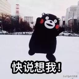 北京奥运会吉祥物不怎么样,北京冬奥会日本进场吉祥物