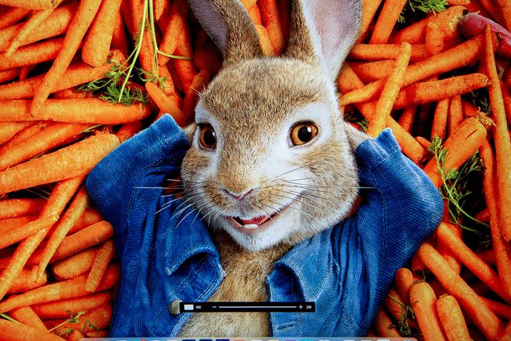 用了20年的飞利浦,用了一年的屏幕