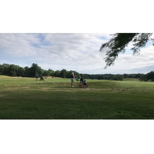 探访华盛顿动物园,波士顿公园周边游