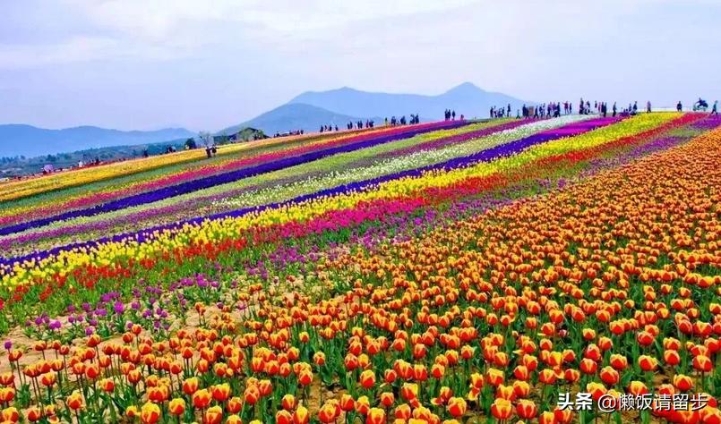 巢湖观景度假酒店,巢湖最适合度假的酒店