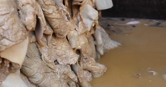 摩洛哥古法制皮视频,摩洛哥皮革制作全过程