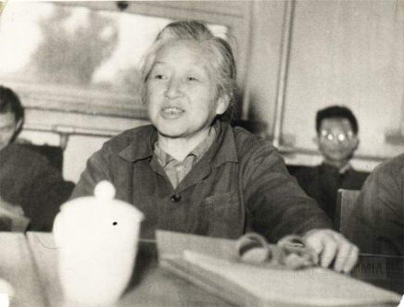 中国的居里夫妇是哪两个人,中国的居里夫妇是哪两位