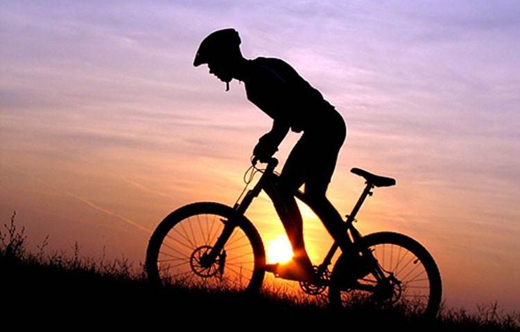 为什么女性的腿比男性的粗,女生什么样的腿型是标准的身材