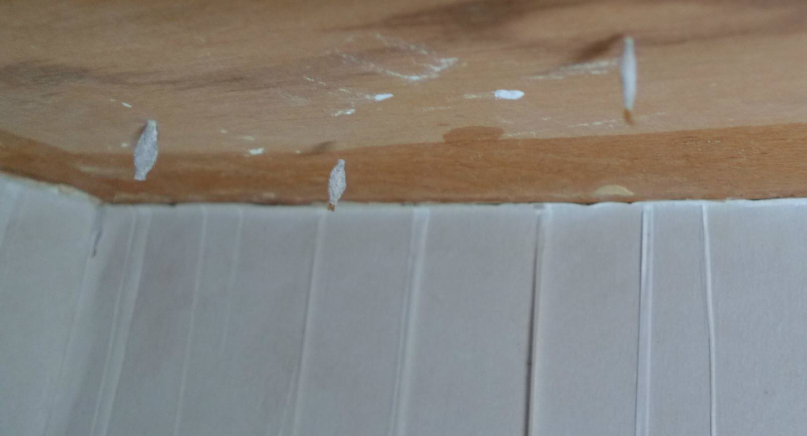 衣柜底下有黑色小虫子怎么办,衣柜里长虫子了怎么办