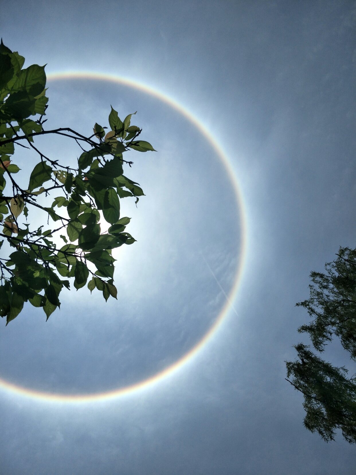 防晒冰袖哪款好看,十大公认好用的防晒冰袖