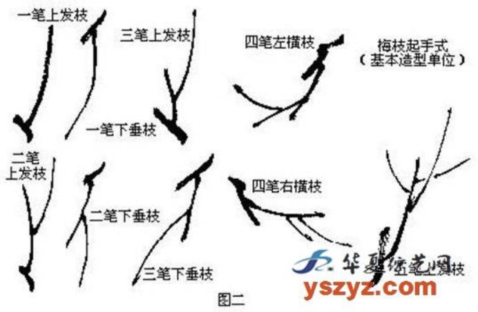 梅花画法简笔画,梅花画法的视频