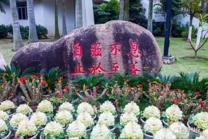 一年四季都暖和城市,厦门是一座四季如春的城市