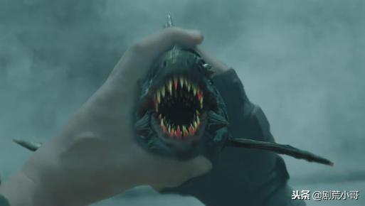 国产狂蟒之灾一口气看完,国产狂蟒之灾好看不