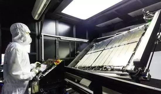 从捡垃圾到世界冠军电影视频,从捡垃圾开始到世界首富在线观看