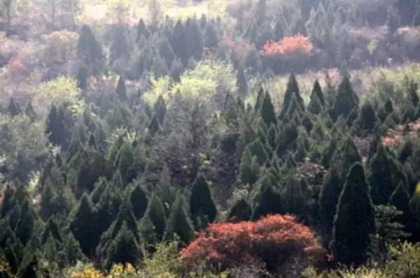 北京这38个森林公园您先收藏了!定个小目标,有空儿玩个遍!