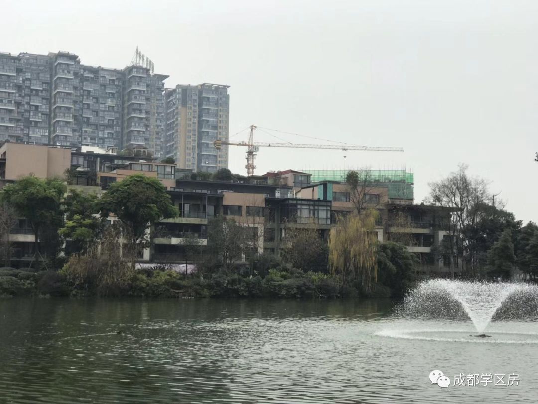 华侨城小学配套什么中学,华侨城对口小学