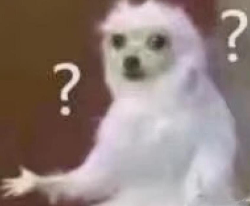 “白富美名媛”竟靠拼单摆拍?15人拼顶级酒店,浴袍轮着穿