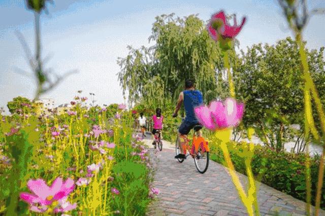 脚步丈量城市绿肺,脚步丈量青山绿水