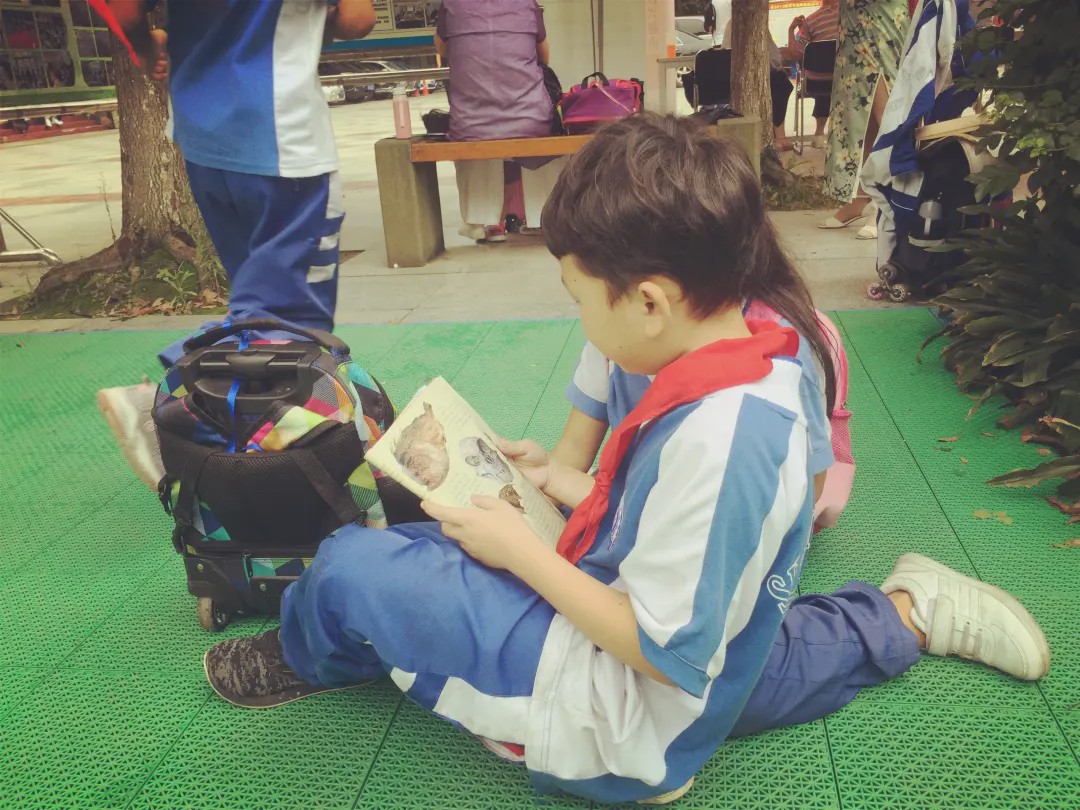 武侯k12,成都k12民办中学