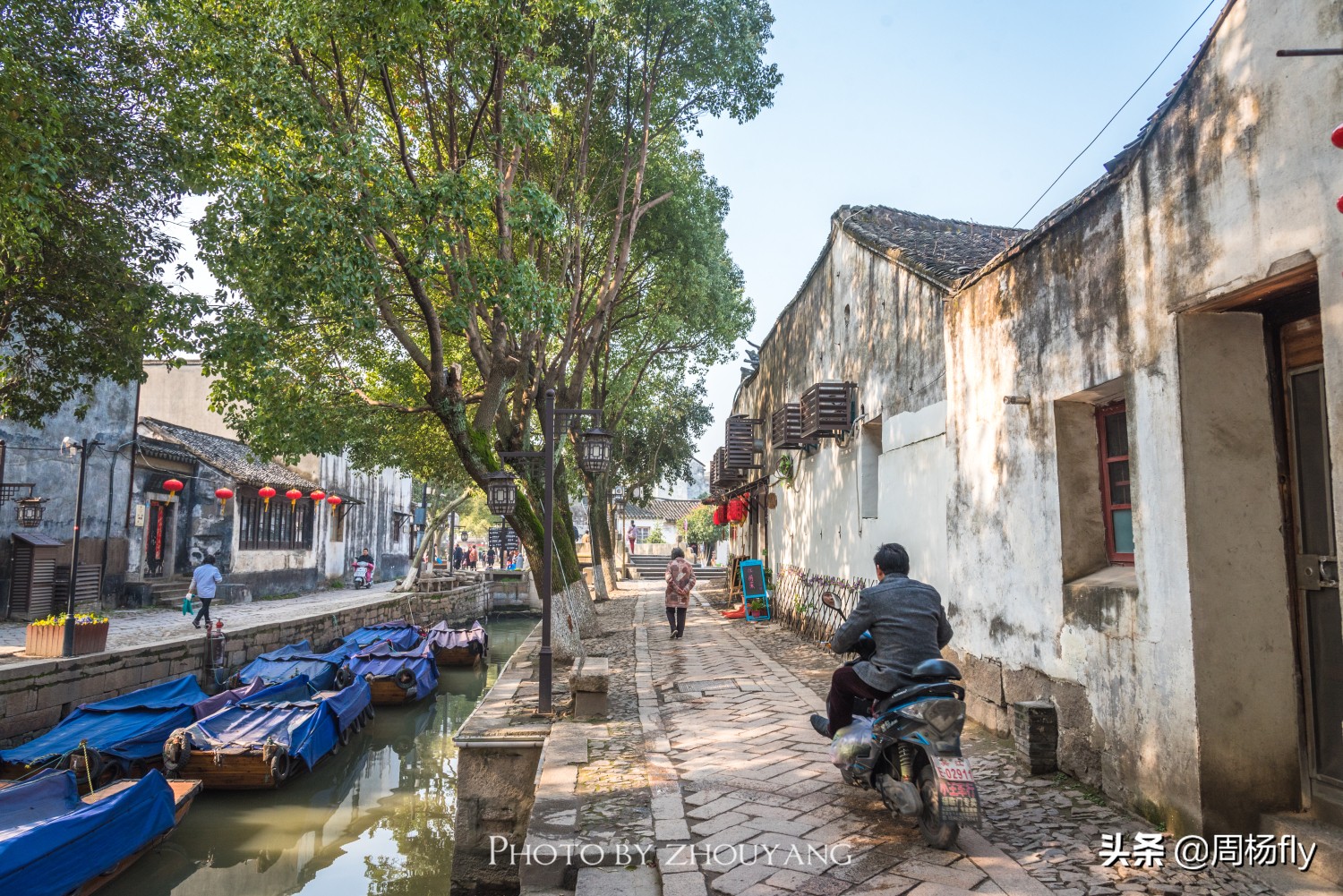 同里梦里水乡全景,同里古镇清晨视频