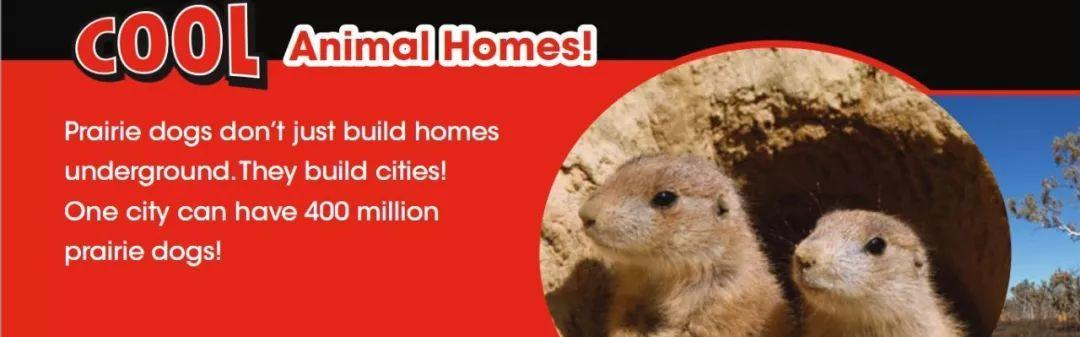 国际全体系课程指南针阅读模块1级主题3《动物的家》1-2课