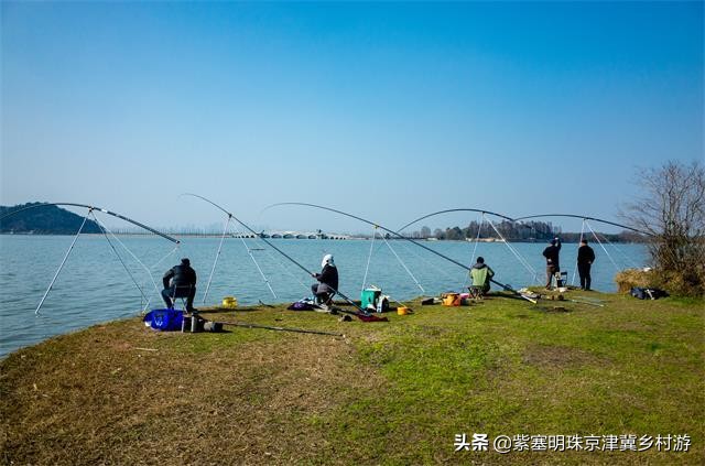 天津紫云水岸香草园在哪,天津市蓟州区紫云水岸草园