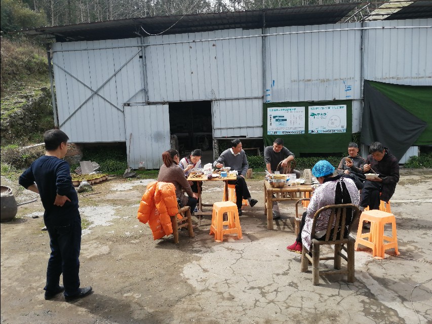 四明山哪座山上有黄精,四明山哪里有山黄精