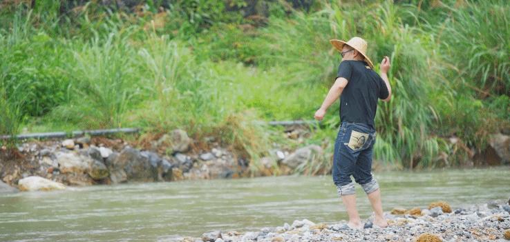 超有鸡味的阳山鸡,广东阳山鸡口感如何