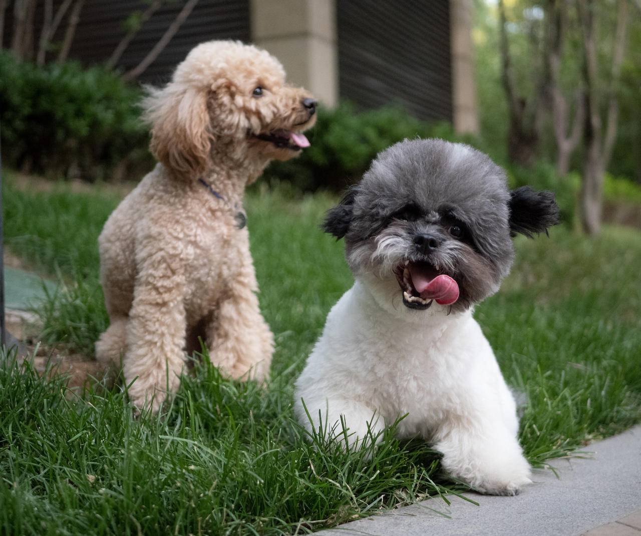 野路子摄影师小渔,松下gx9拍照效果怎么样