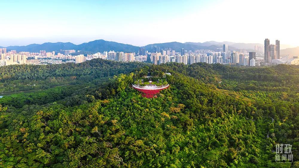 十九届六中全会决议公报,十九届六中全会通过的两重大决议