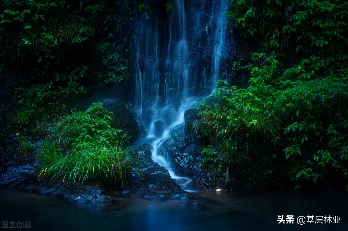 山蚂蝗被咬血止不住,山蚂蝗咬后痒怎么办