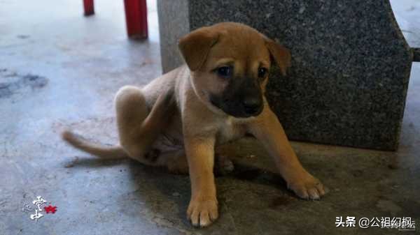 骑行越南柬埔寨泰国老挝攻略,越南骑行游记