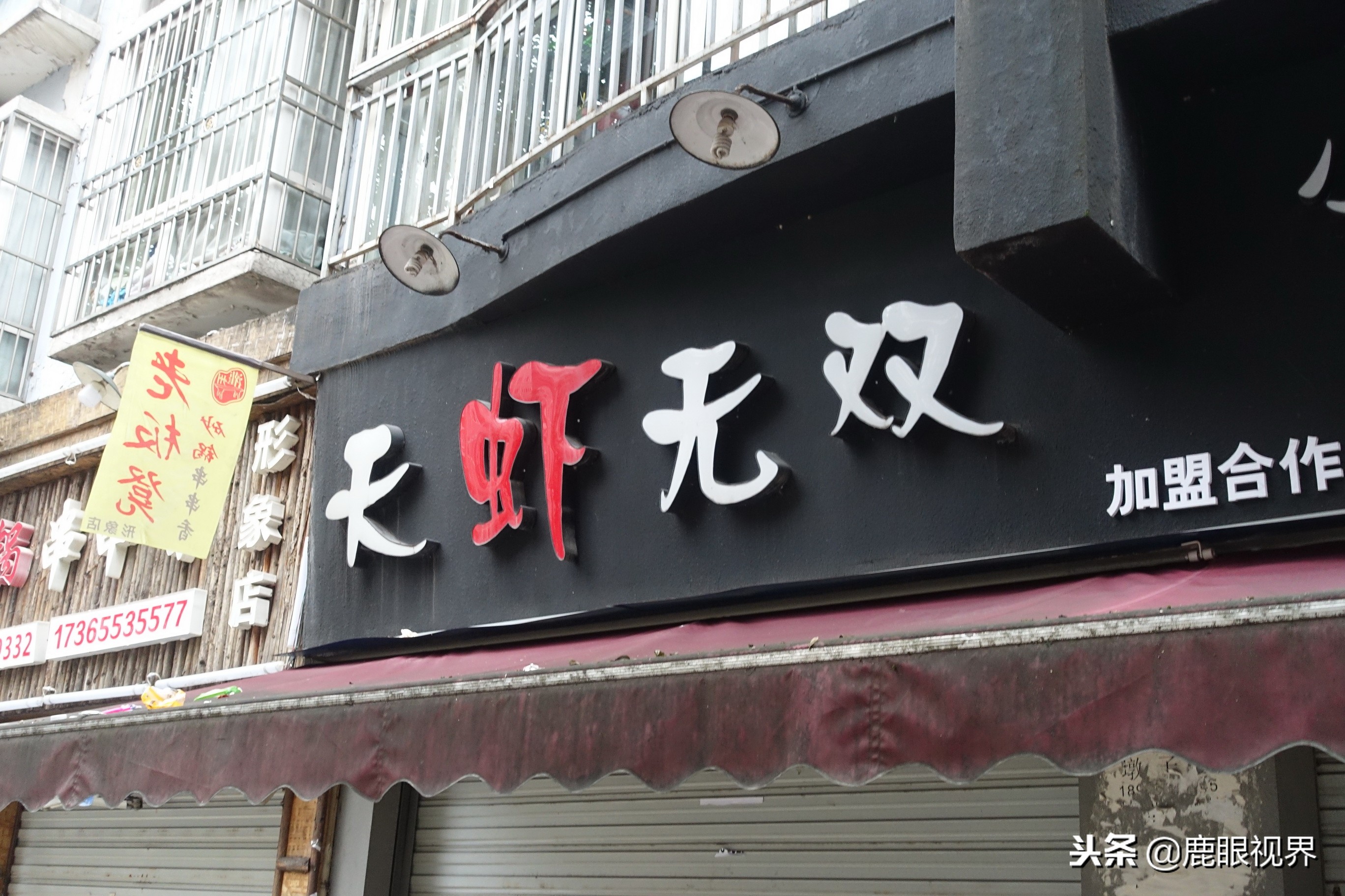 鹿眼视界多少钱一个,鹿眼视界店招原版