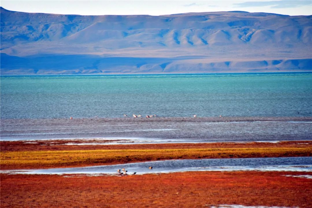 解锁神秘人的密码,解锁黑科技密码