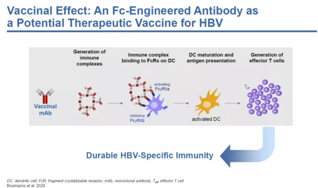 乙肝功能性治愈和彻底治愈的区别,功能性治愈乙肝还会复发吗