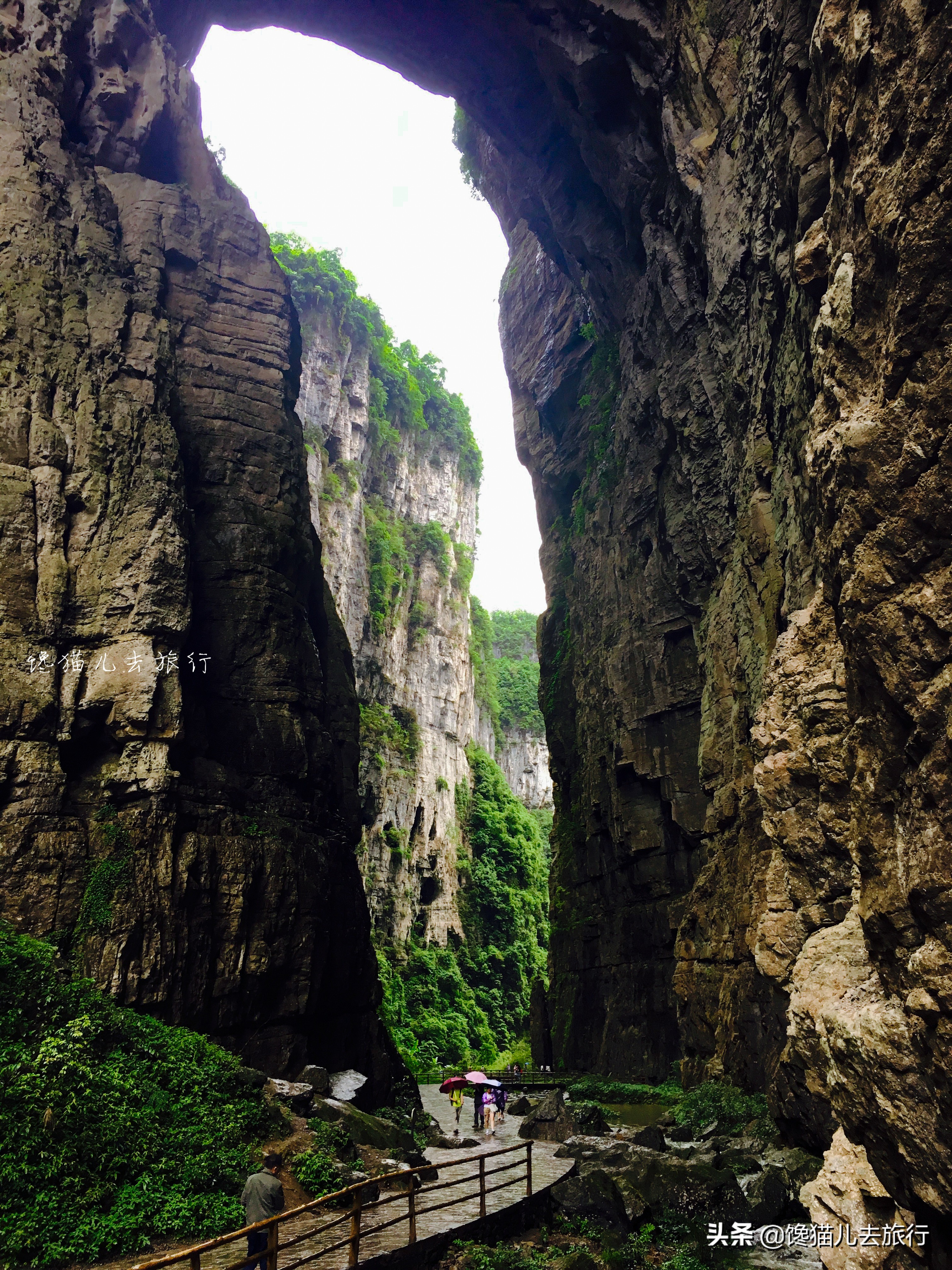 网红城市重庆的启示,重庆最值得去的网红打卡地