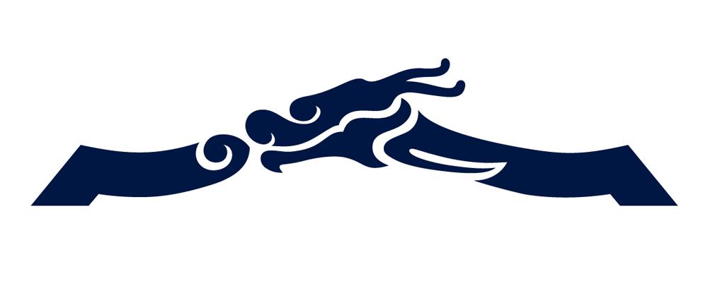 新疆天山雪豹足球俱乐部球衣,天山雪豹足球俱乐部在哪里