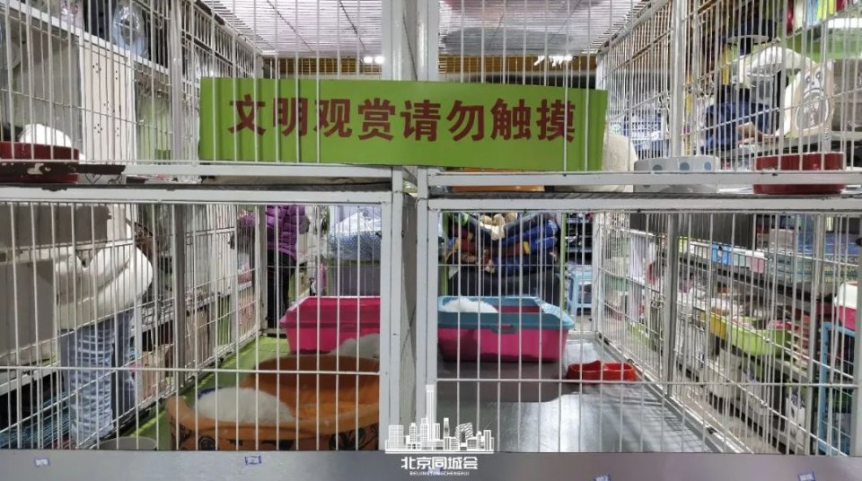 不去后悔去了更加后悔的景点,不去后悔去的景点