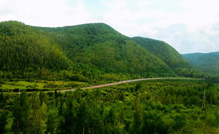 跟着总书记了解内蒙古｜林区工人停伐以后干什么、收入怎么样？