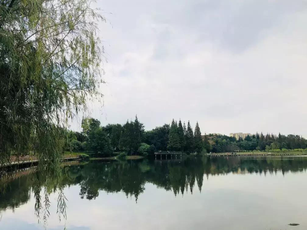 成都市区小众景点免费,成都冷门旅游景点推荐