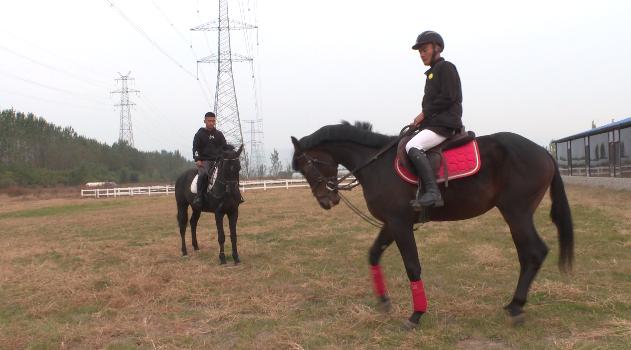 大学体育选修课哪个最好最简单,大学体育选修课有哪些