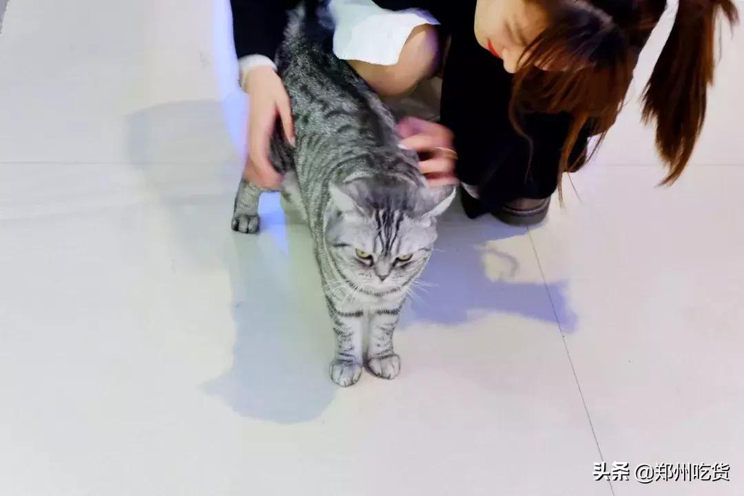 郑州各大批发市场一览表,河南郑州万邦国际农产品批发市场