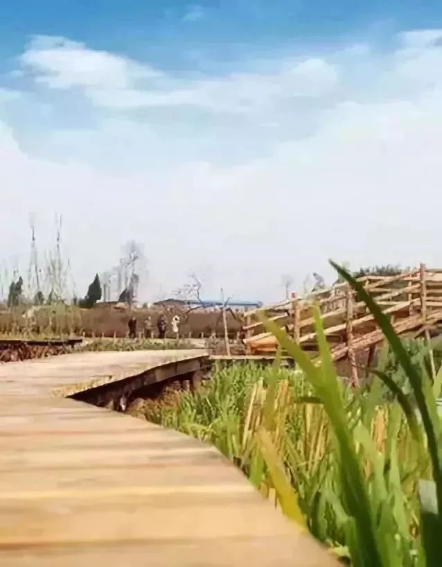 看完，会让你爱上桂平、感到自豪……